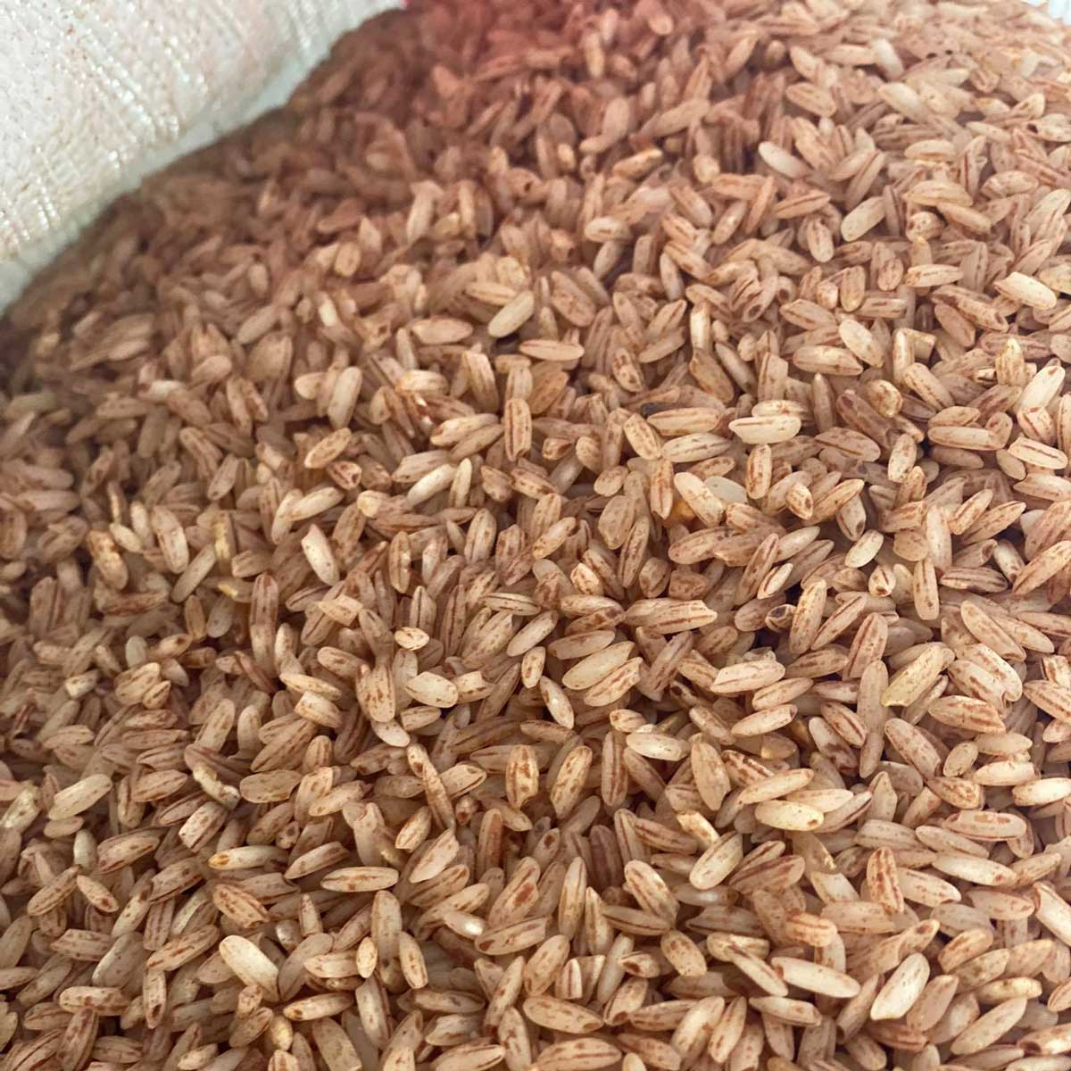 Devzira-Rice-Wholesale-Quality-200x1200